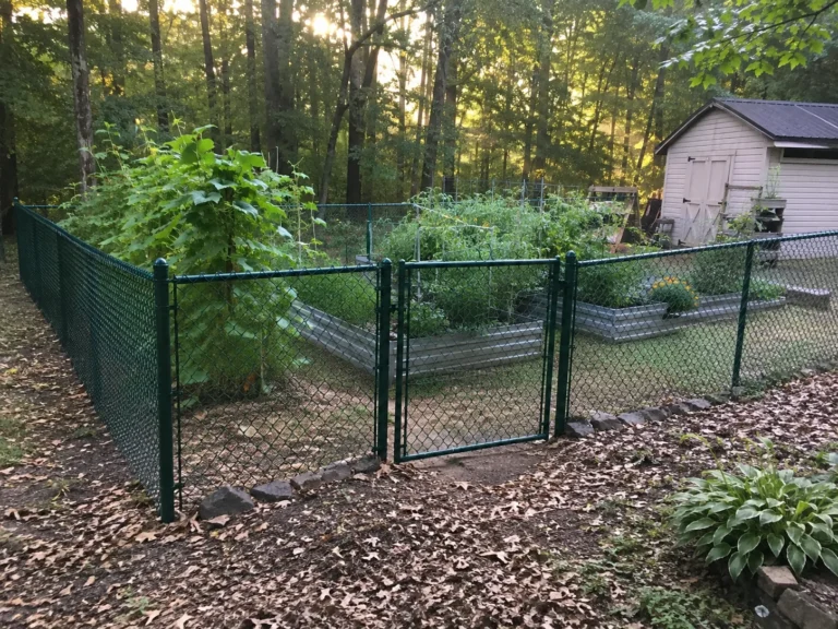 Anamosa, Iowa view of black chain link garden enclosure