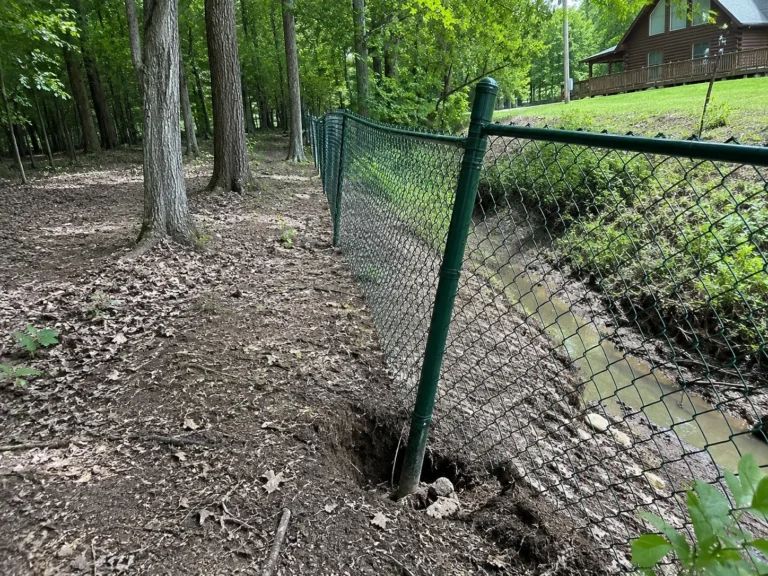Hiawatha, Iowa view of green chain link fence in a wooded yard