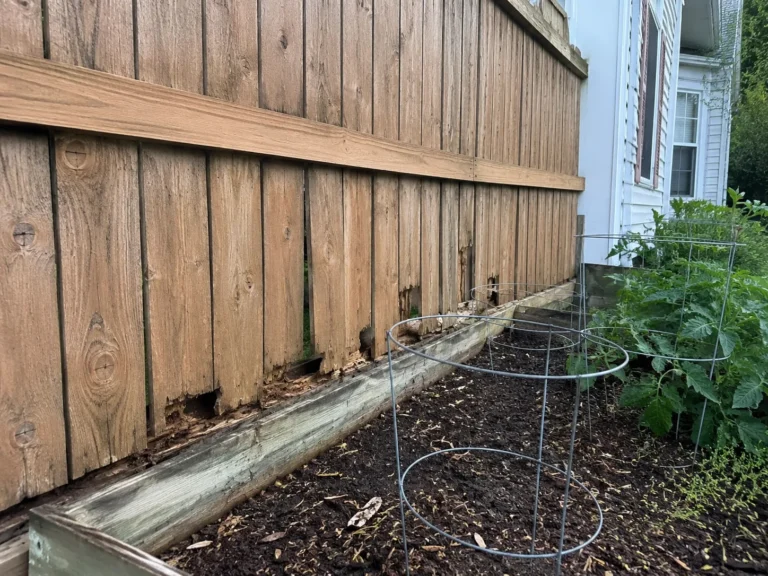 rotted lower boards on a wood privacy fence shown at a property in Hiawatha, Iowa